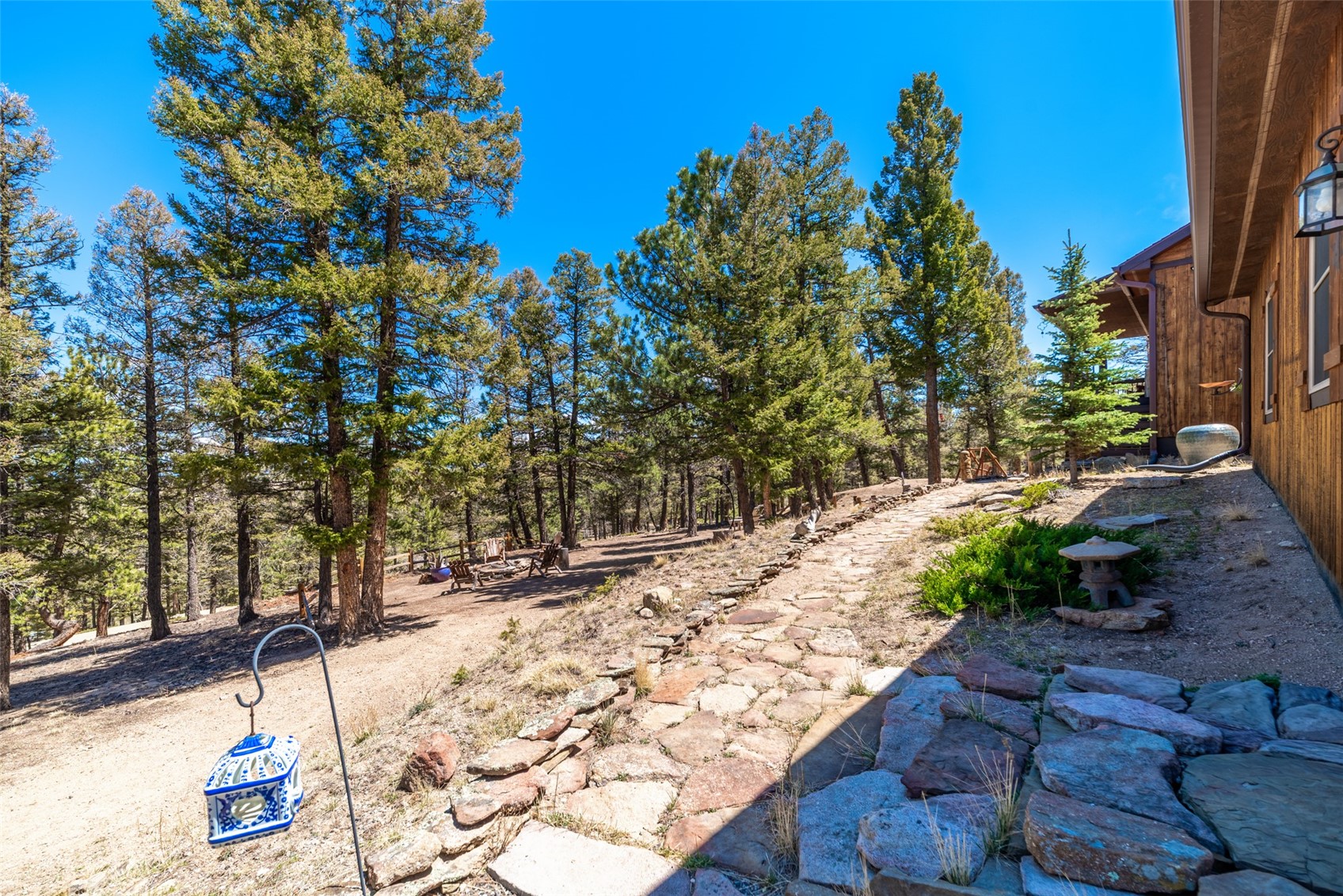 4091 Singletree Road Hartsel CO 80449