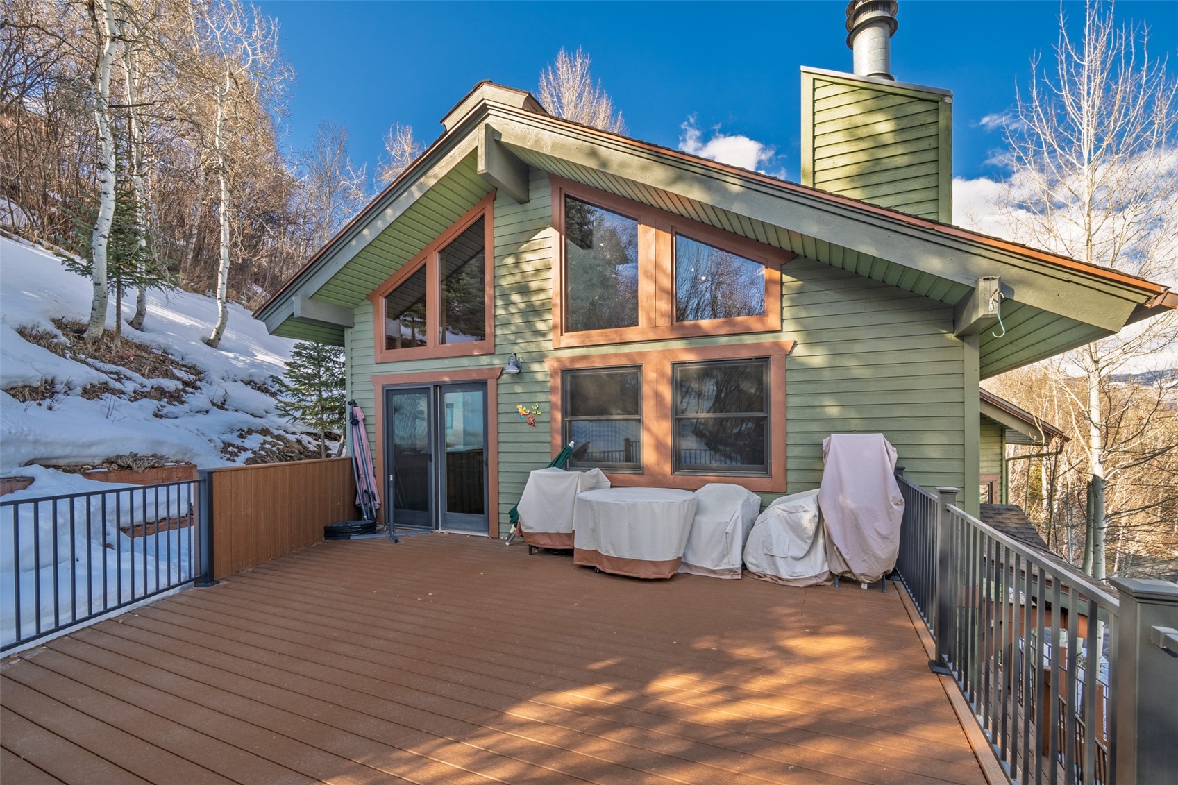 36836 Tree Haus Drive Steamboat Springs CO 80487