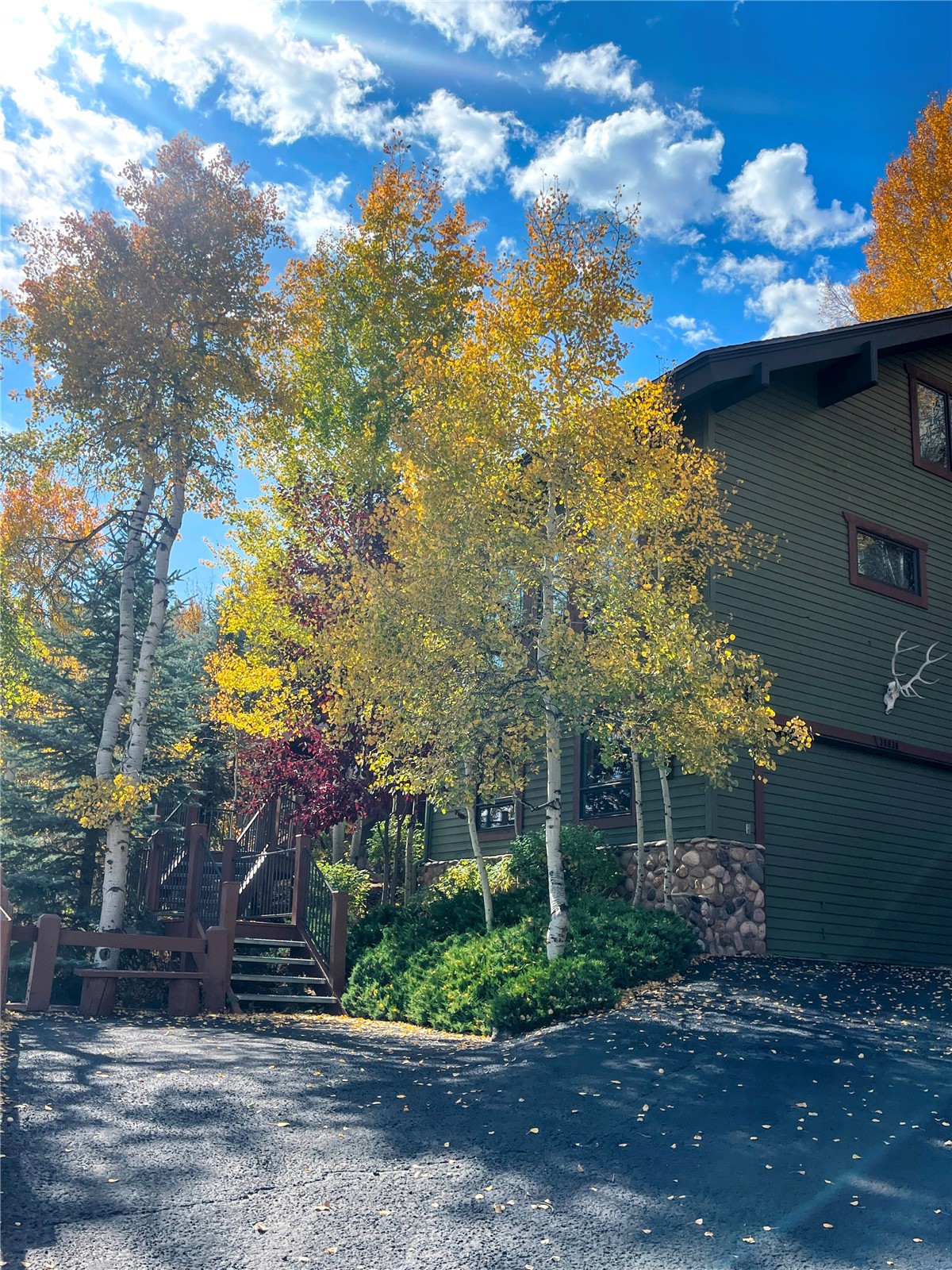 36836 Tree Haus Drive Steamboat Springs CO 80487