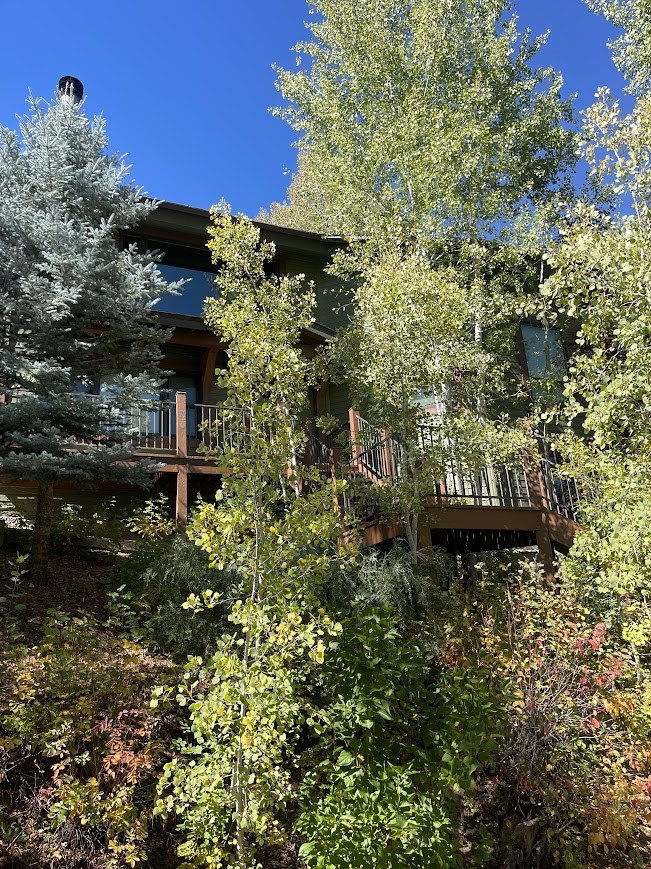 36836 Tree Haus Drive Steamboat Springs CO 80487