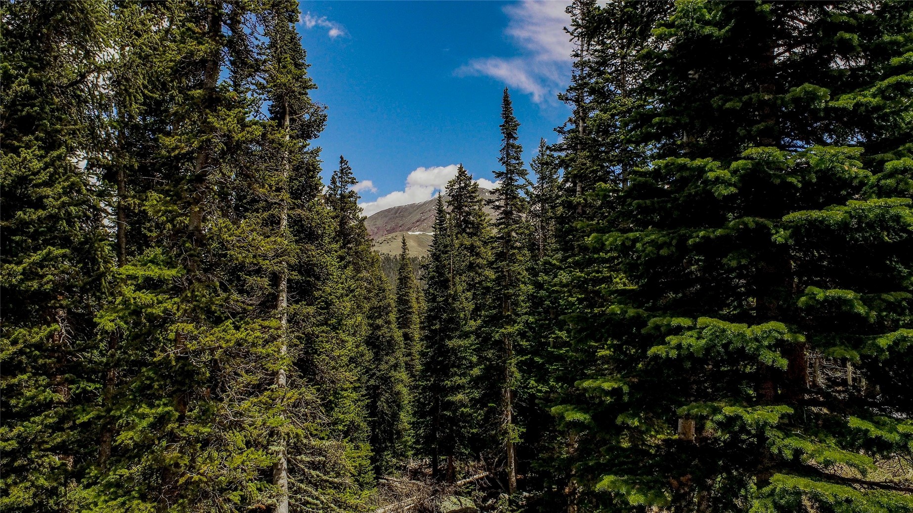 328 Quandary View Drive Breckenridge CO 80424