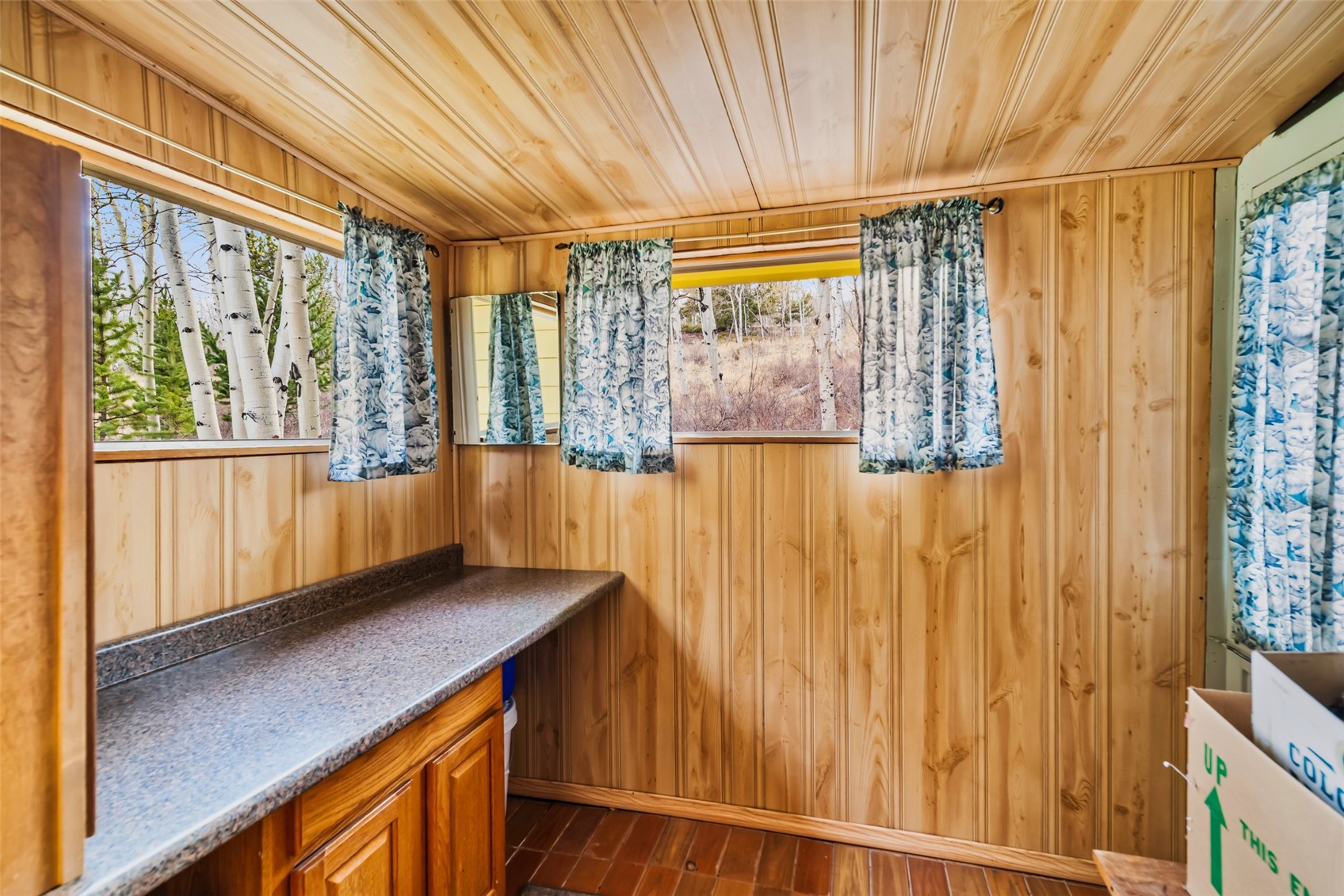 26 Meadow Drive Fairplay CO 80440