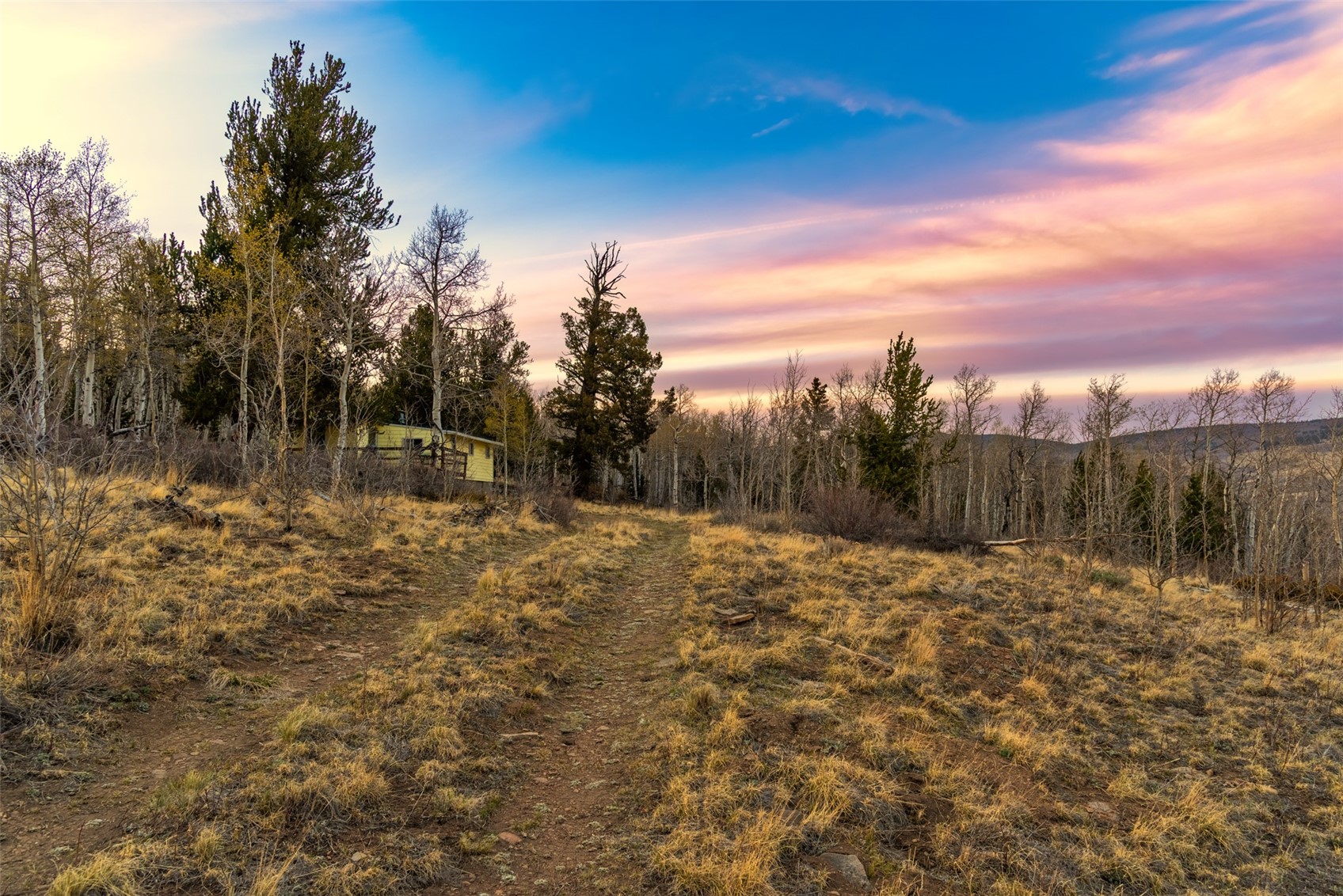 26 Meadow Drive Fairplay CO 80440