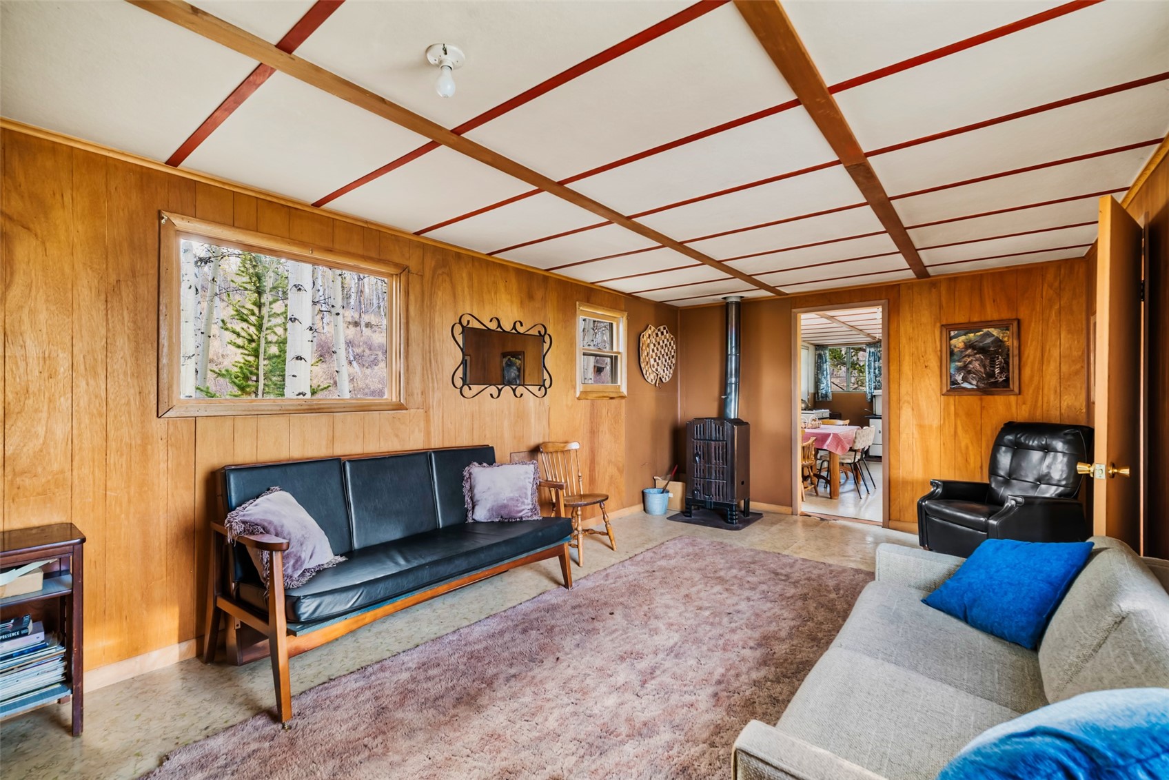 26 Meadow Drive Fairplay CO 80440
