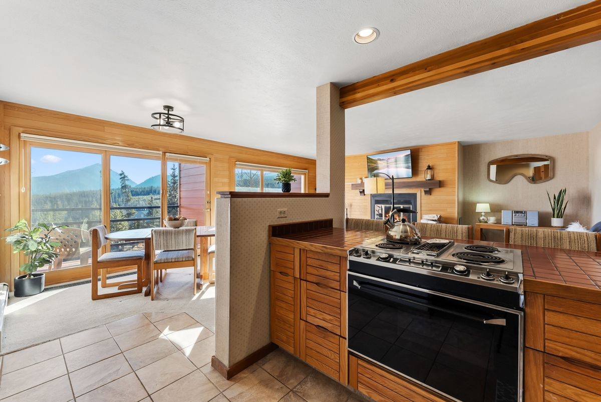 91300 Ryan Gulch Road Silverthorne CO 80498