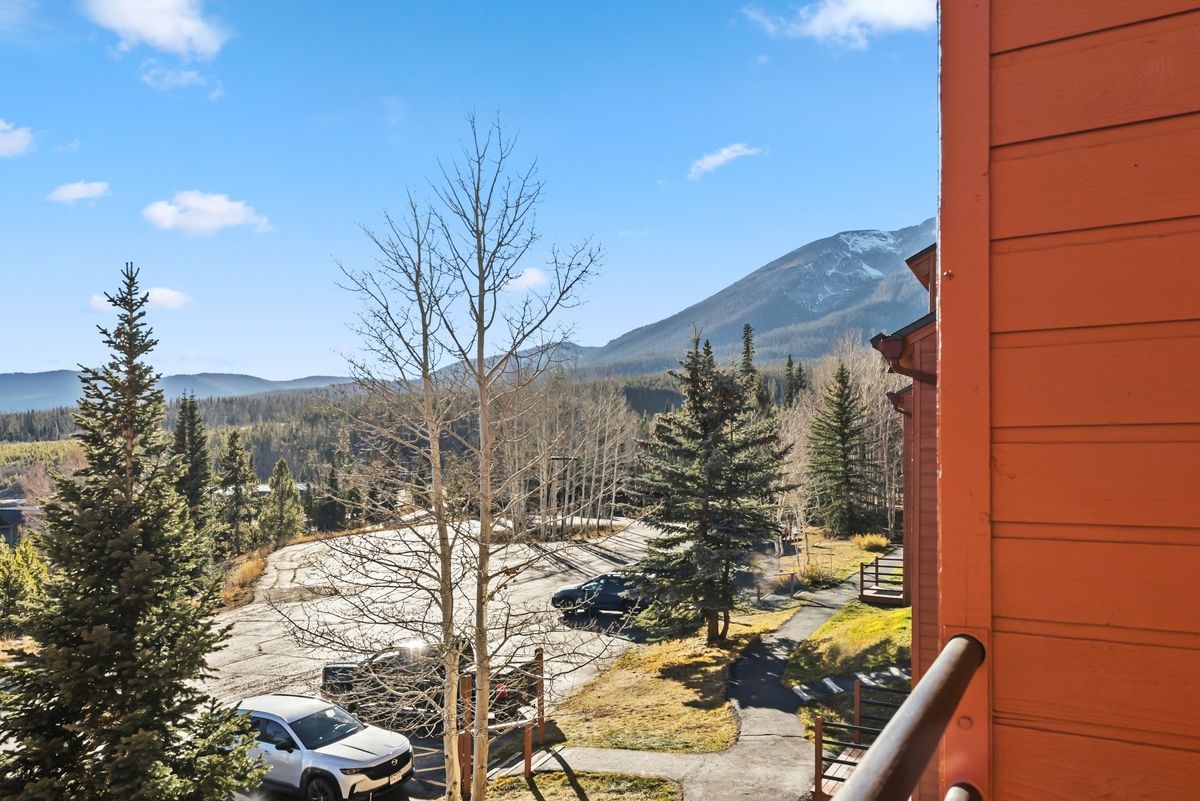 91300 Ryan Gulch Road Silverthorne CO 80498