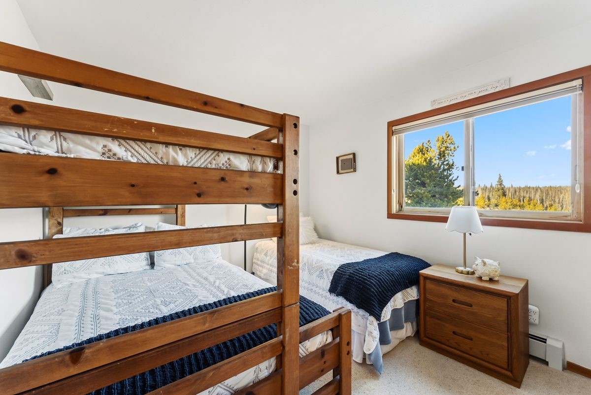 91300 Ryan Gulch Road Silverthorne CO 80498