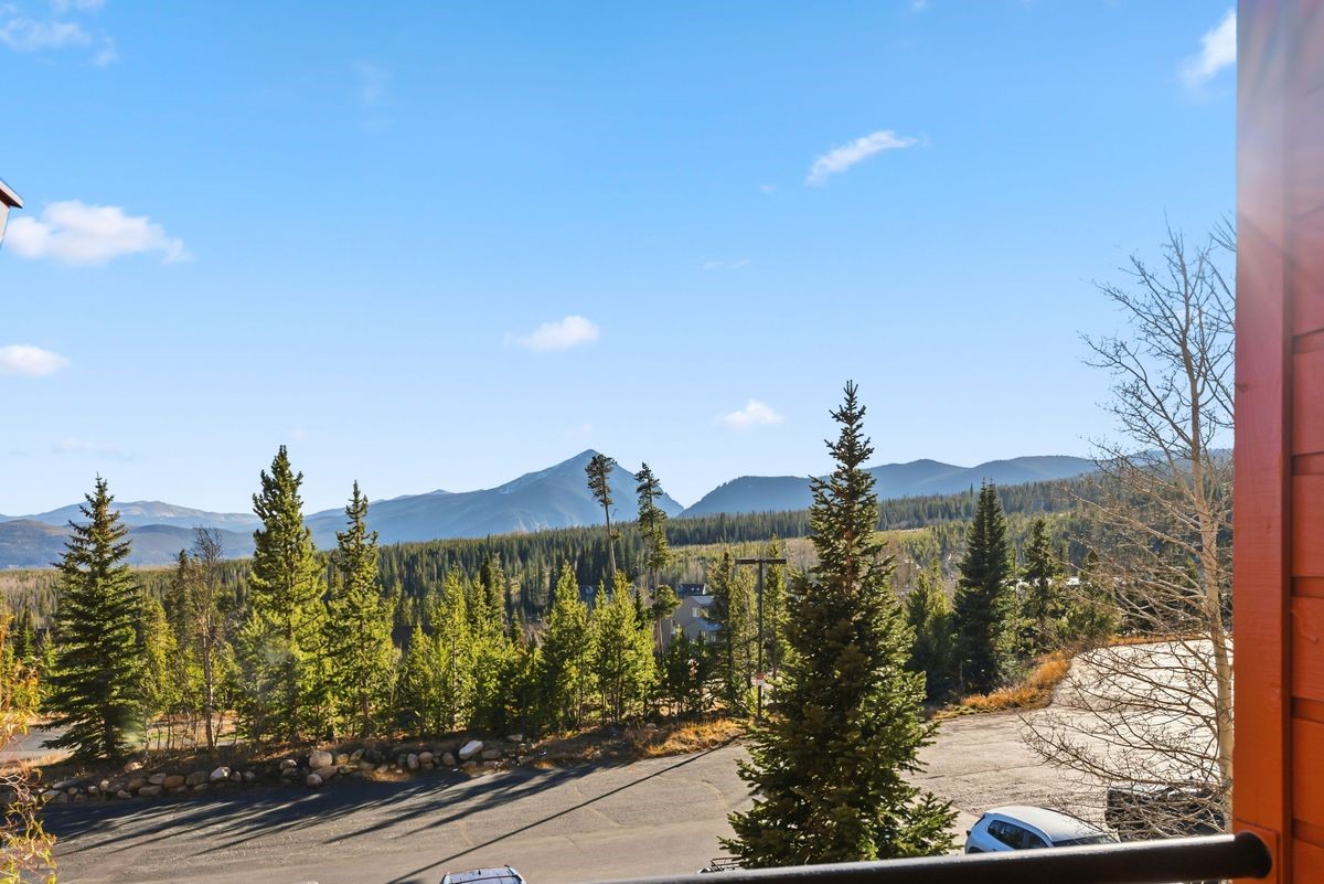 91300 Ryan Gulch Road Silverthorne CO 80498