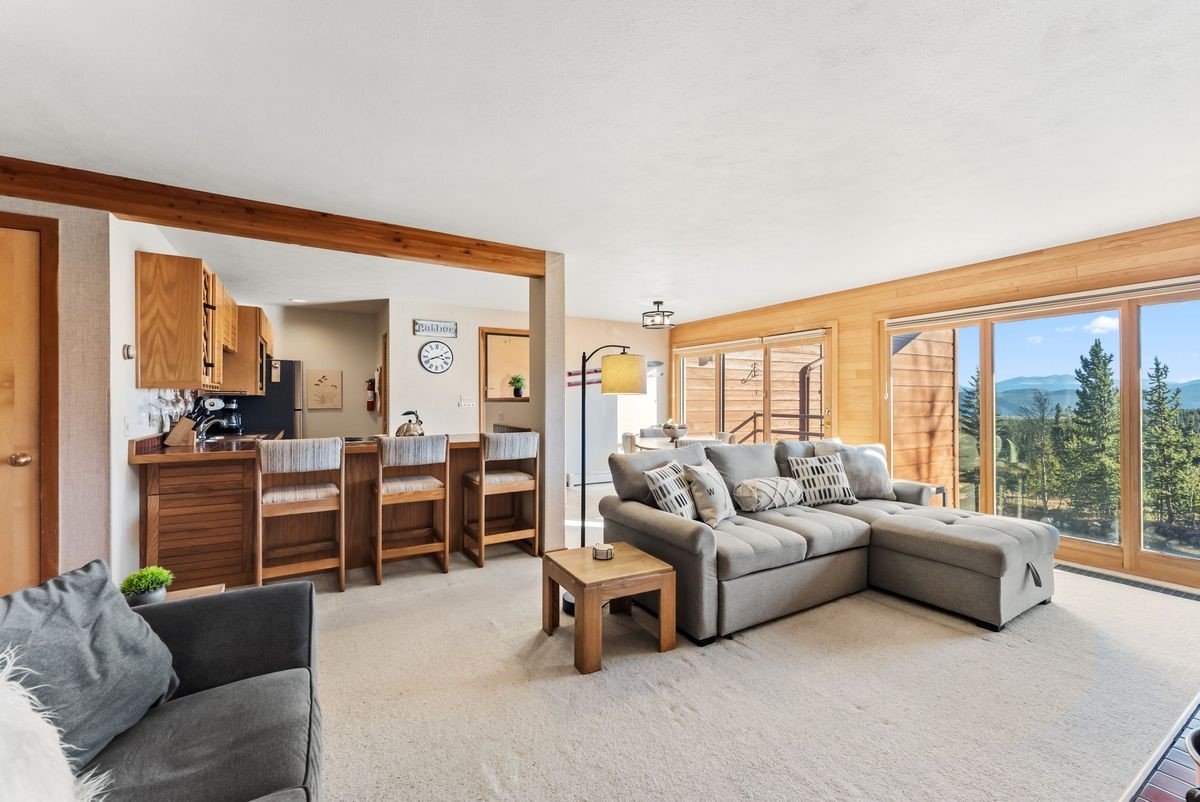 91300 Ryan Gulch Road Silverthorne CO 80498