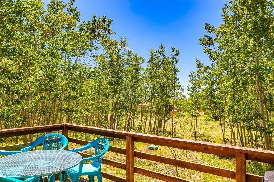 2346 High Creek Road Fairplay CO 80440
