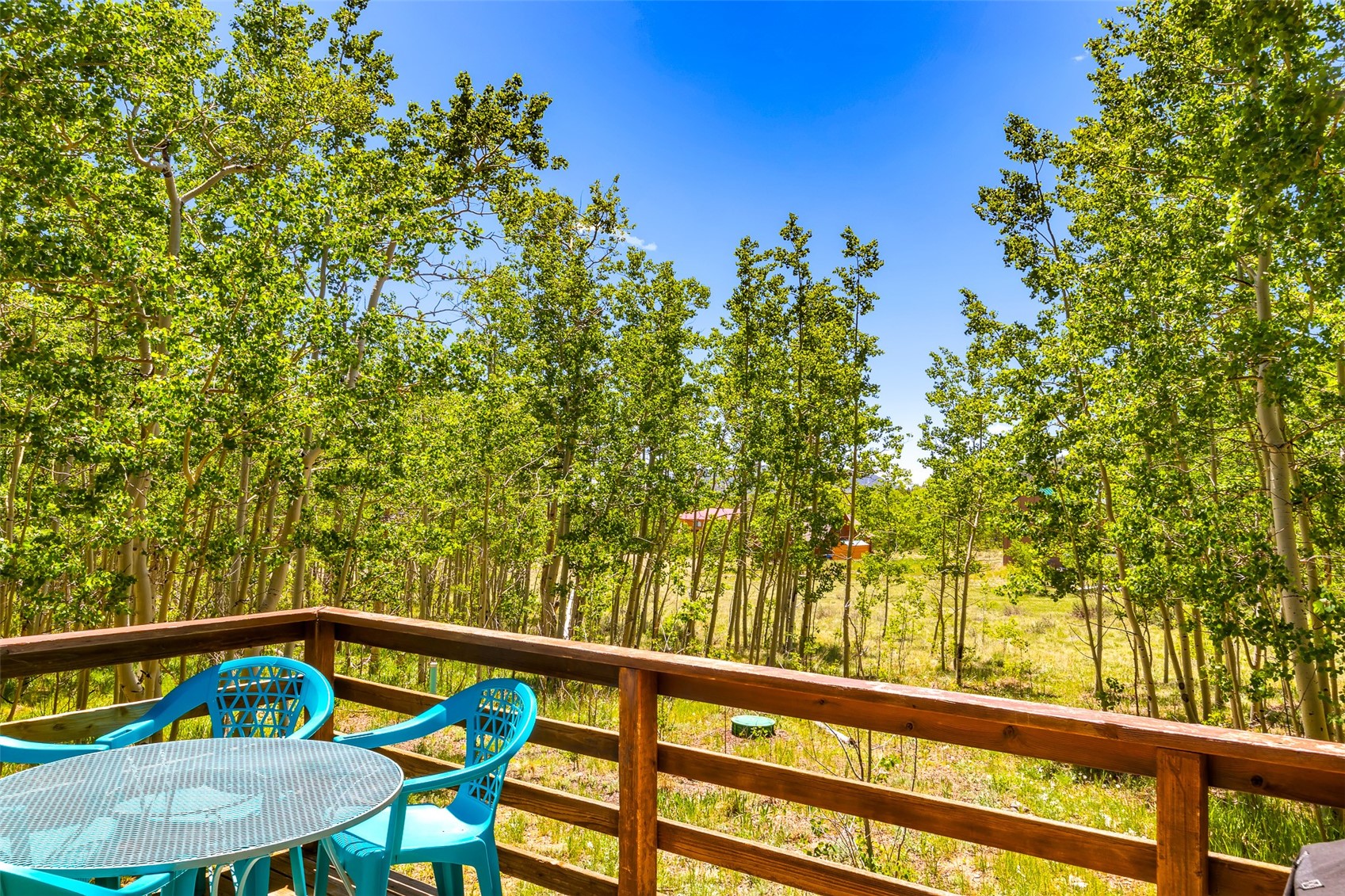 2346 High Creek Road Fairplay CO 80440
