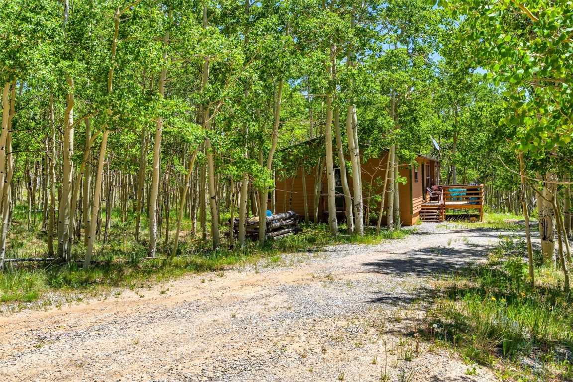 2346 High Creek Road Fairplay CO 80440