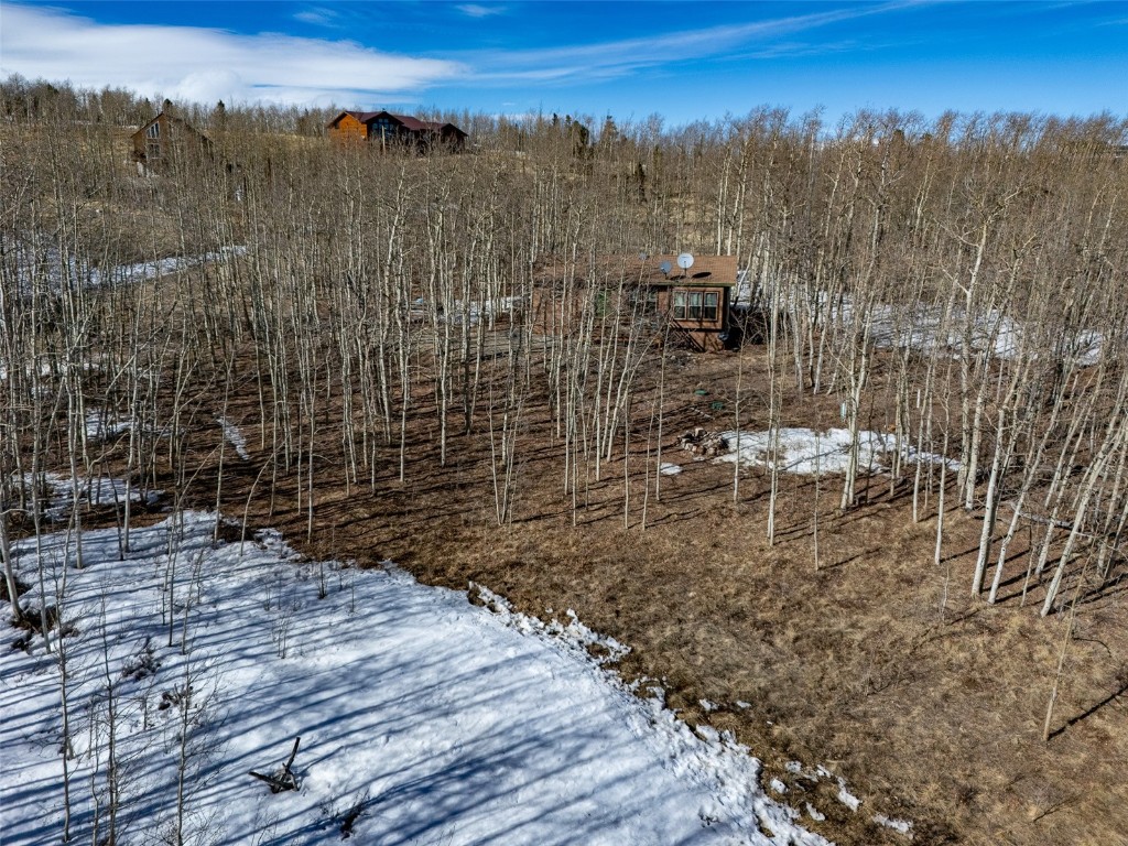 2346 High Creek Road Fairplay CO 80440