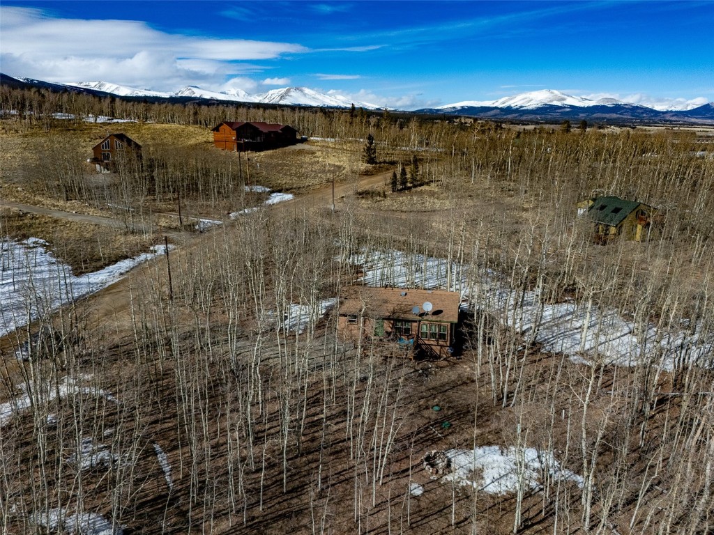 2346 High Creek Road Fairplay CO 80440