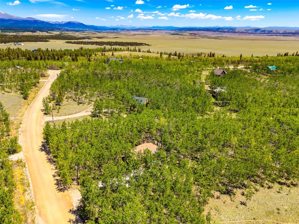 2346 High Creek Road Fairplay CO 80440