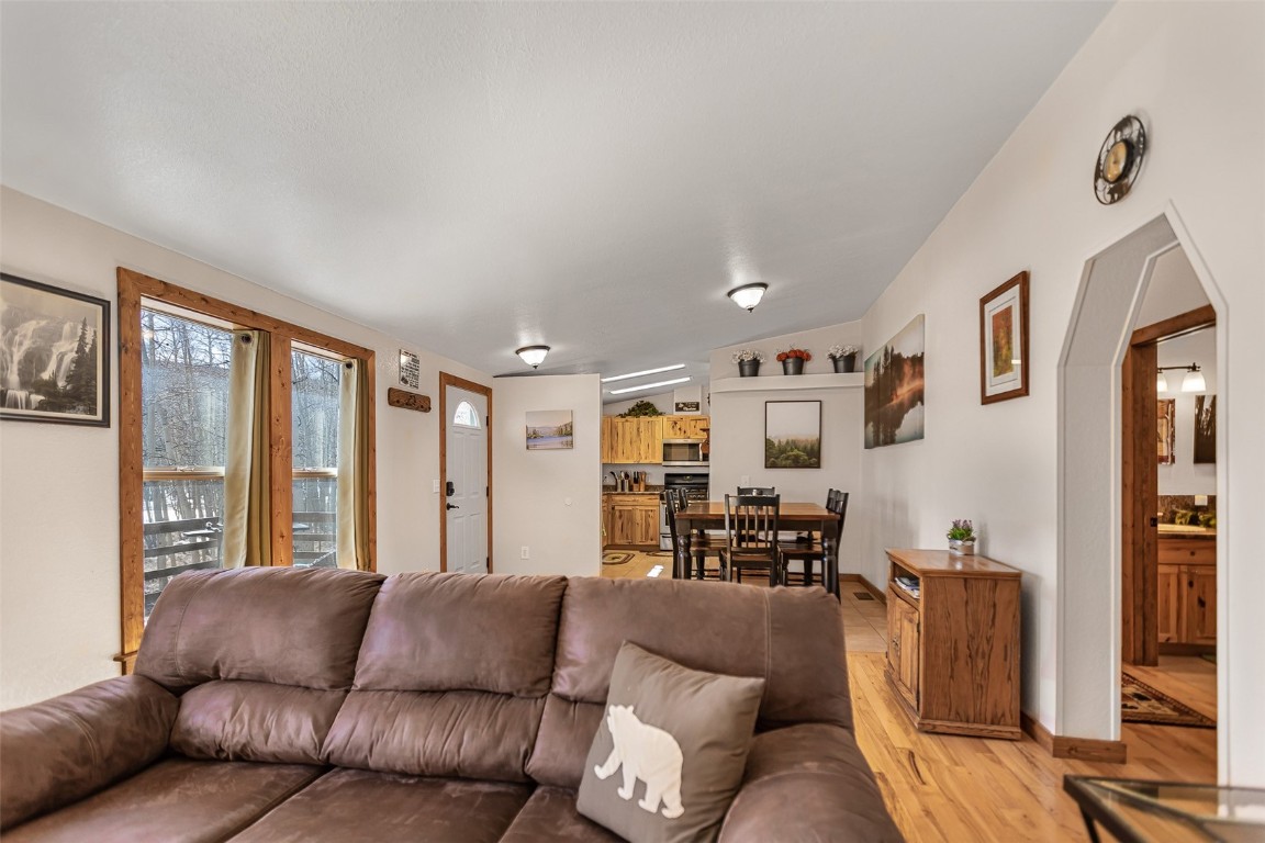 2346 High Creek Road Fairplay CO 80440