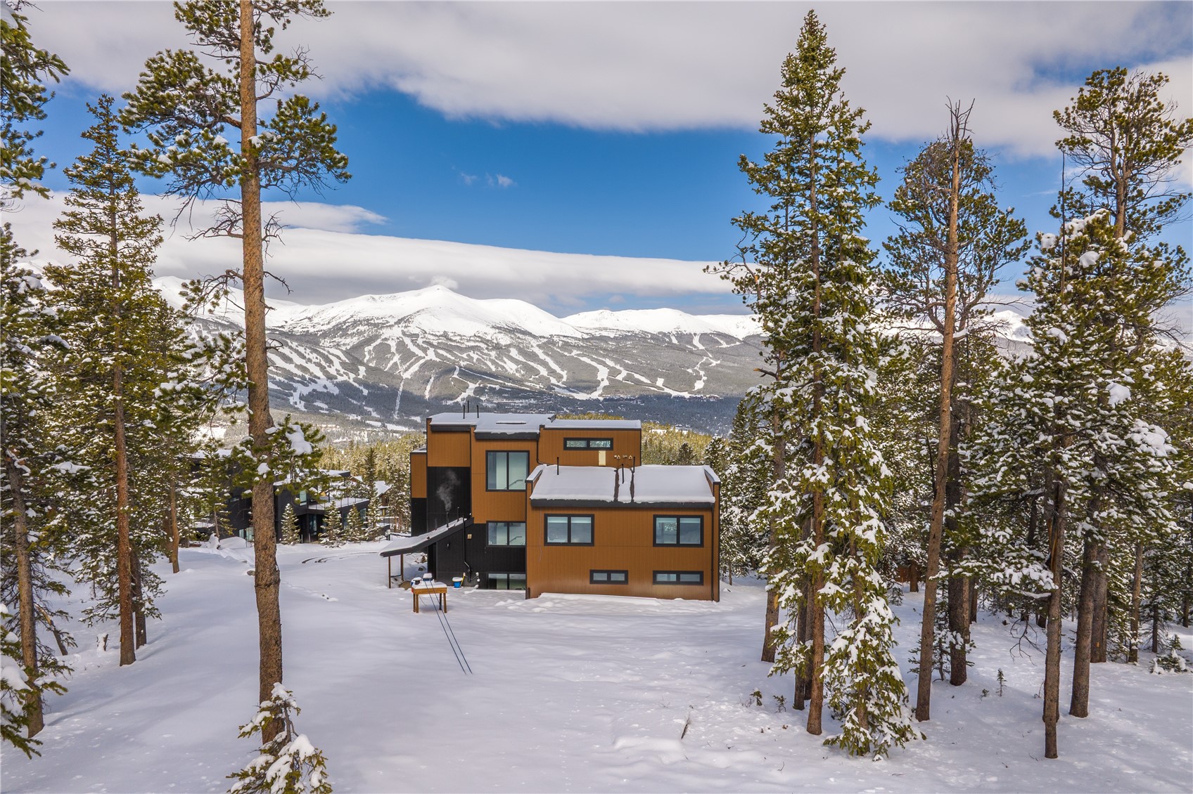 316 N Fuller Placer Road Breckenridge CO 80424