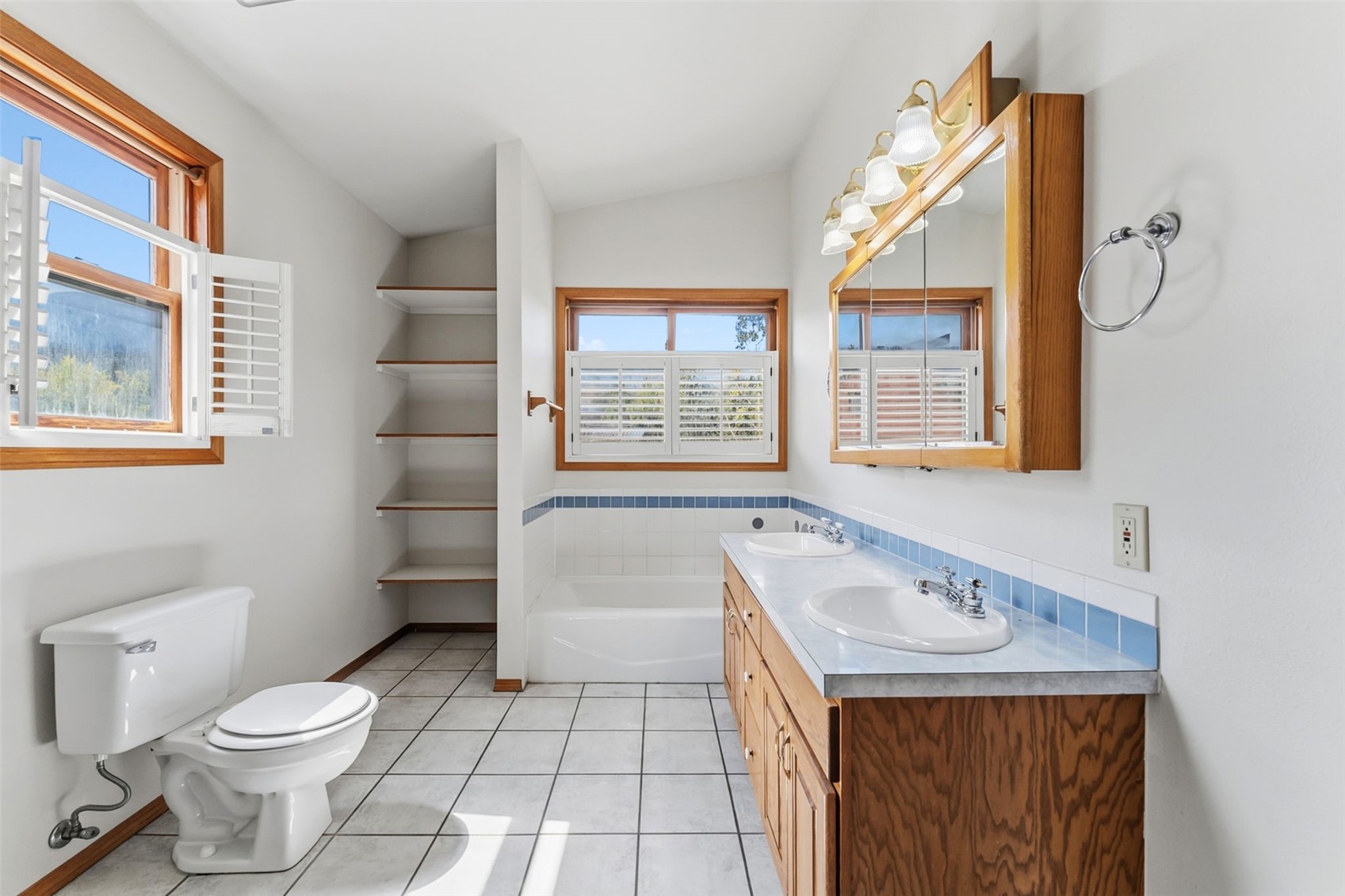 307 N Chipmunk Circle Silverthorne CO 80498