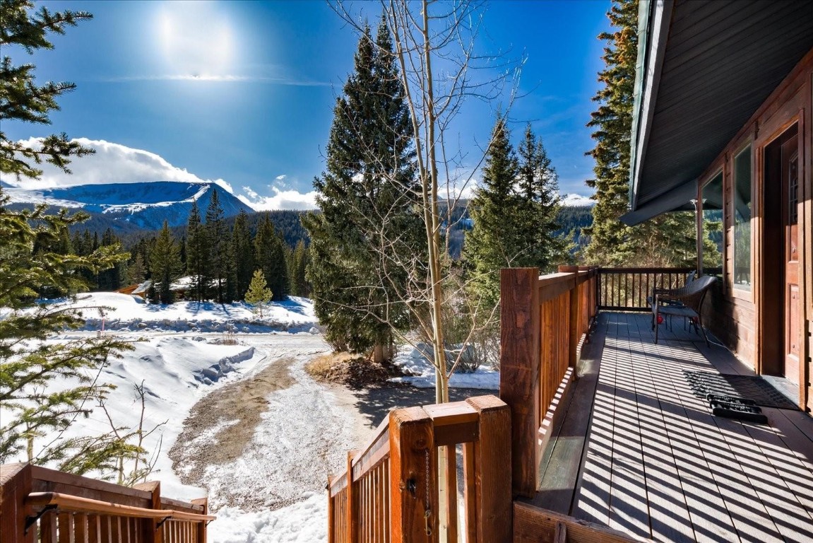 202 Doris Drive Breckenridge CO 80424