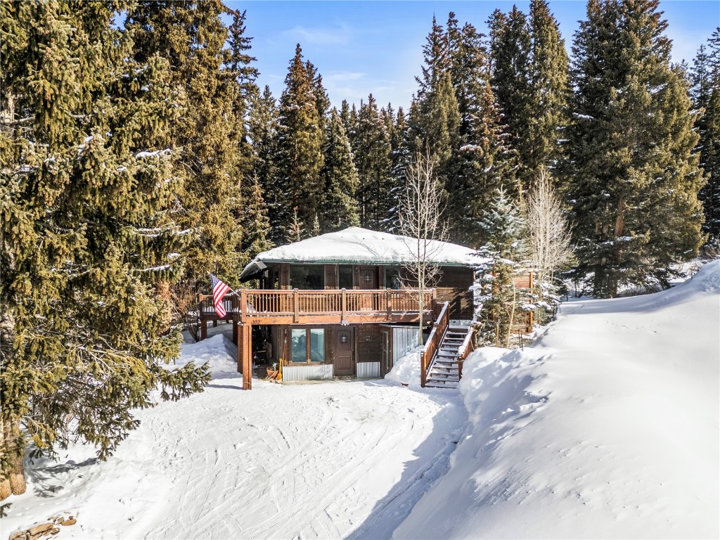 202 Doris Drive Breckenridge CO 80424