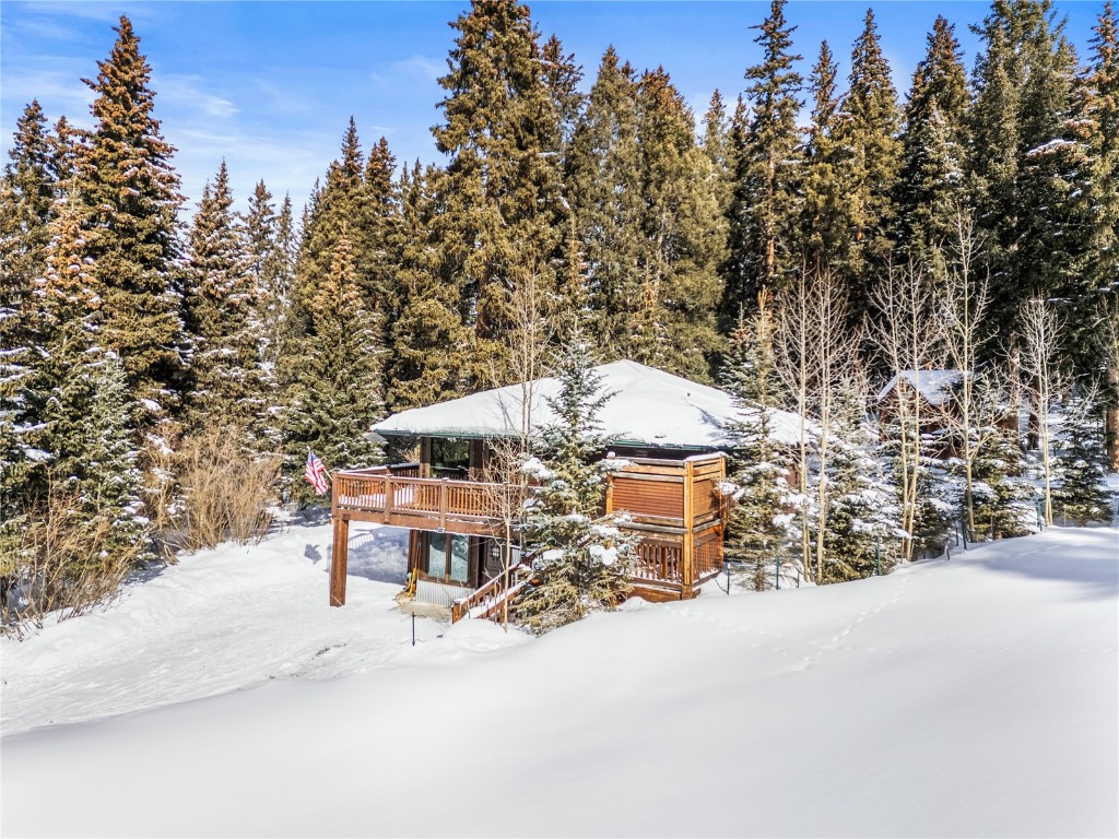 202 Doris Drive Breckenridge CO 80424