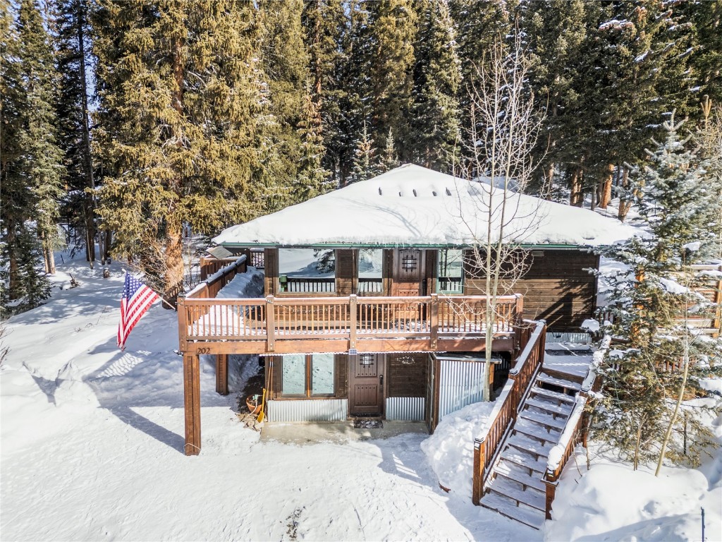 202 Doris Drive Breckenridge CO 80424