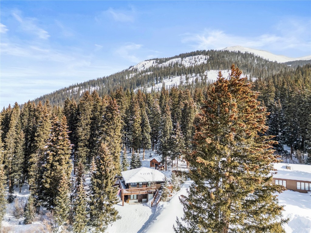 202 Doris Drive Breckenridge CO 80424
