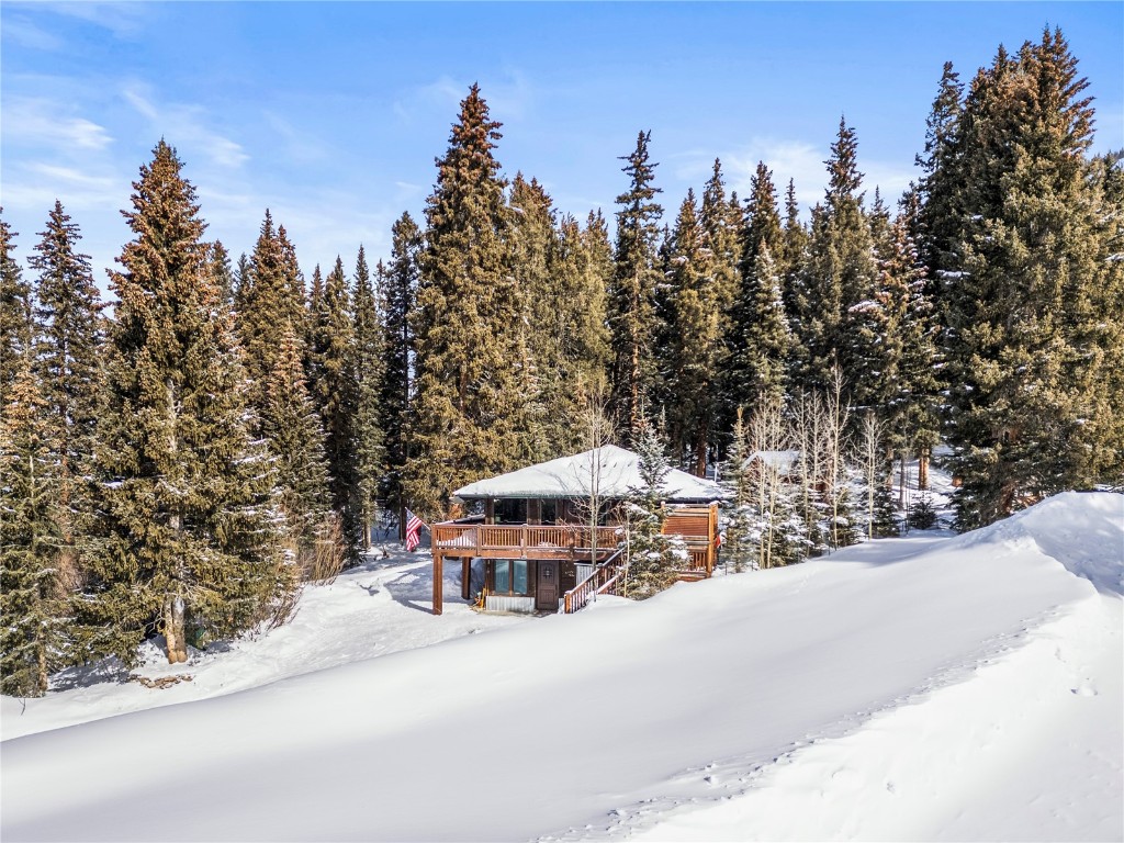 202 Doris Drive Breckenridge CO 80424
