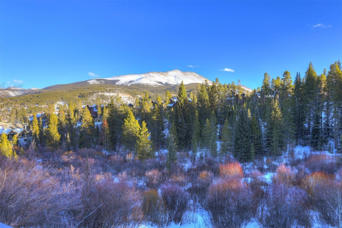 965 Four Oclock Road Breckenridge CO 80424