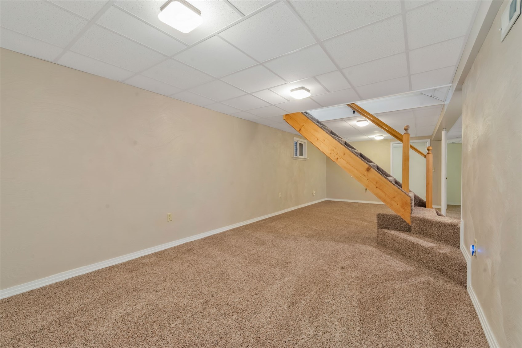 301 E View Drive Hayden CO 81639