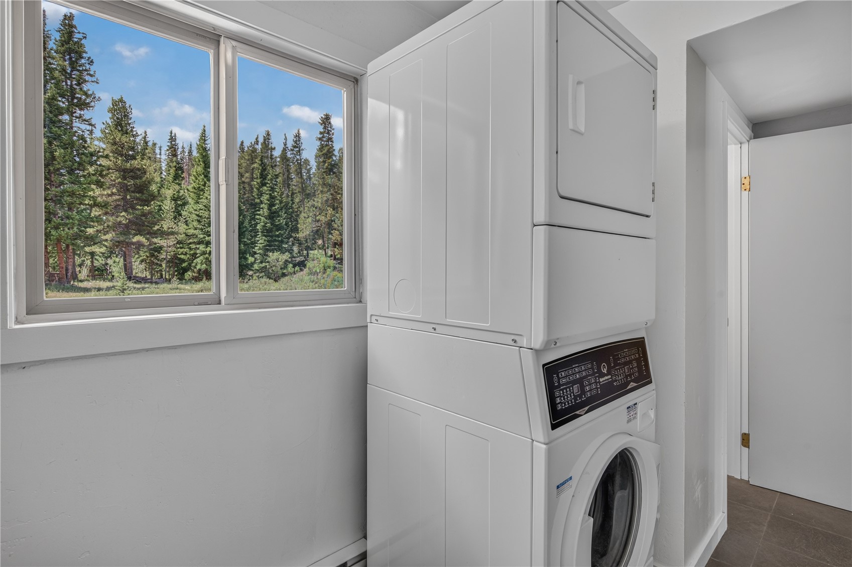 214 Mountain View Trail Breckenridge CO 80424
