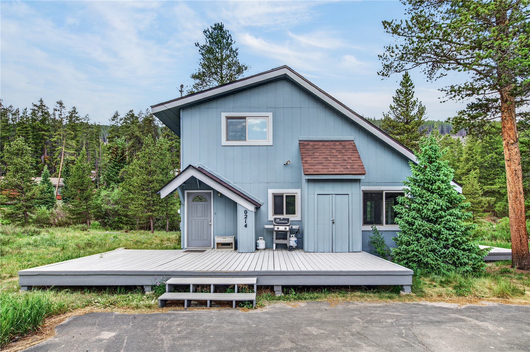 214 Mountain View Trail Breckenridge CO 80424