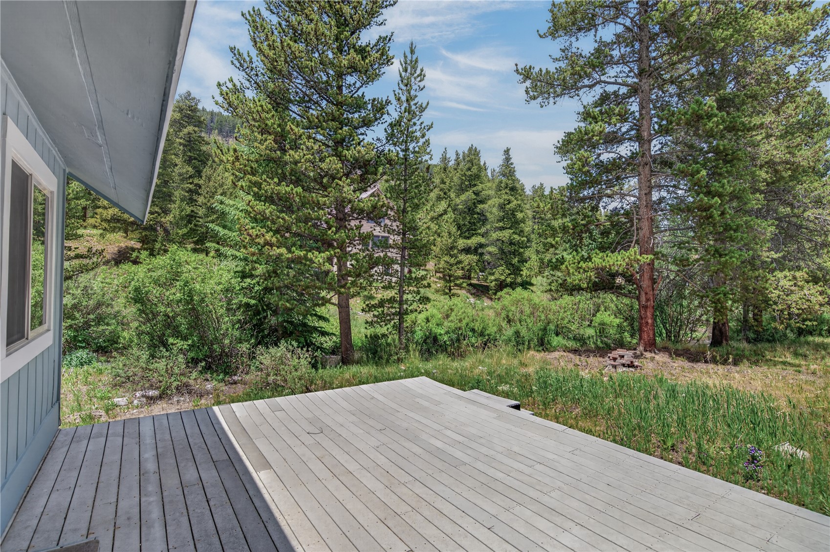 214 Mountain View Trail Breckenridge CO 80424