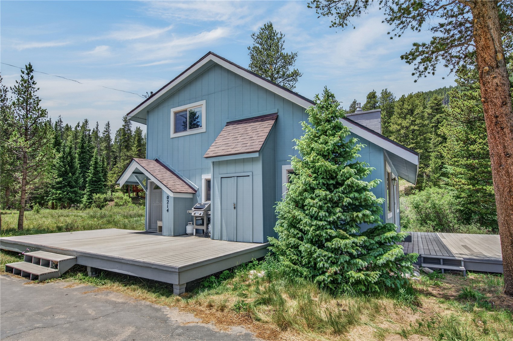214 Mountain View Trail Breckenridge CO 80424