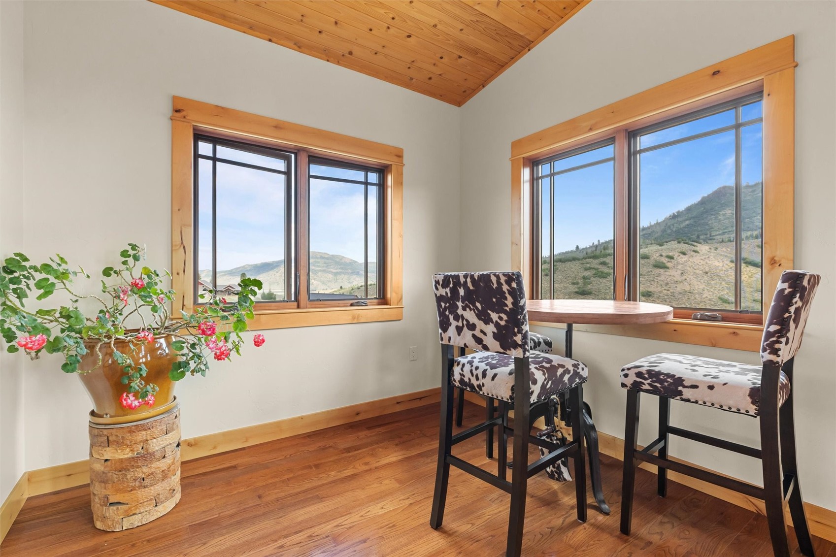 23020 Lynx Basin Lane Oak Creek CO 80467