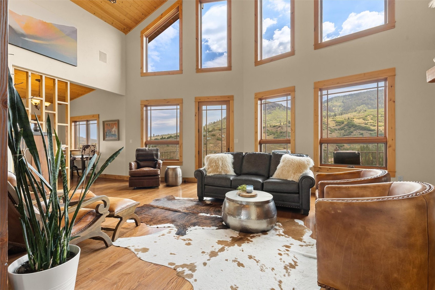 23020 Lynx Basin Lane Oak Creek CO 80467