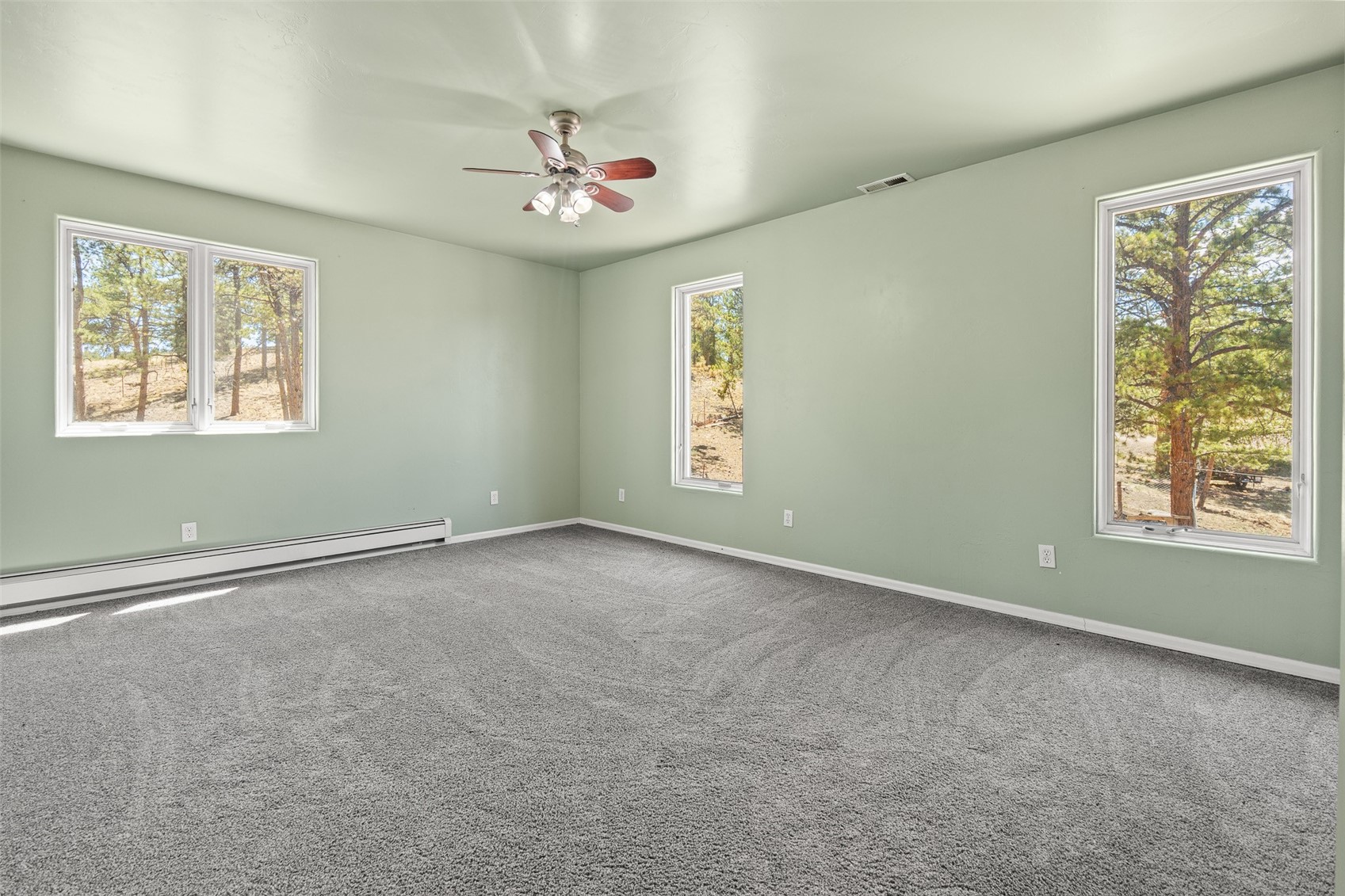 114 Ranier Lane Hartsel CO 80449
