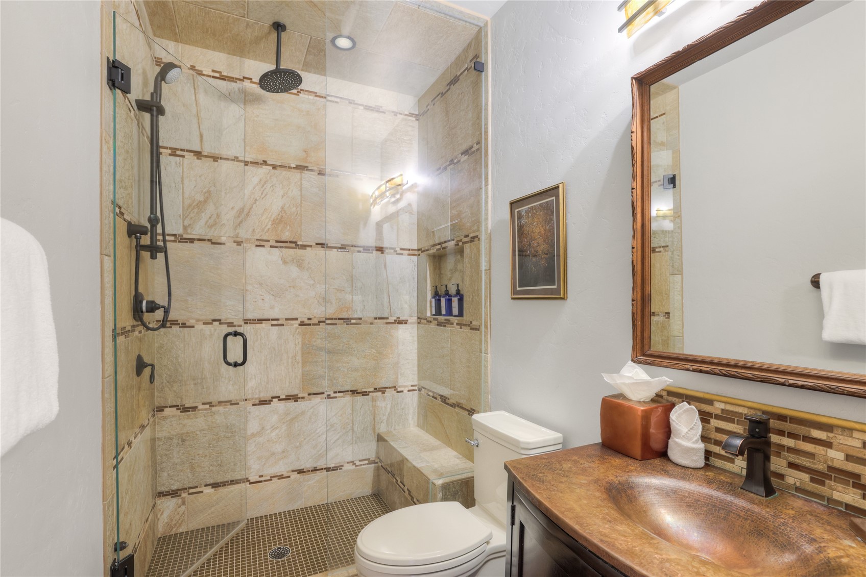 19 Peak Eight Court Breckenridge CO 80424