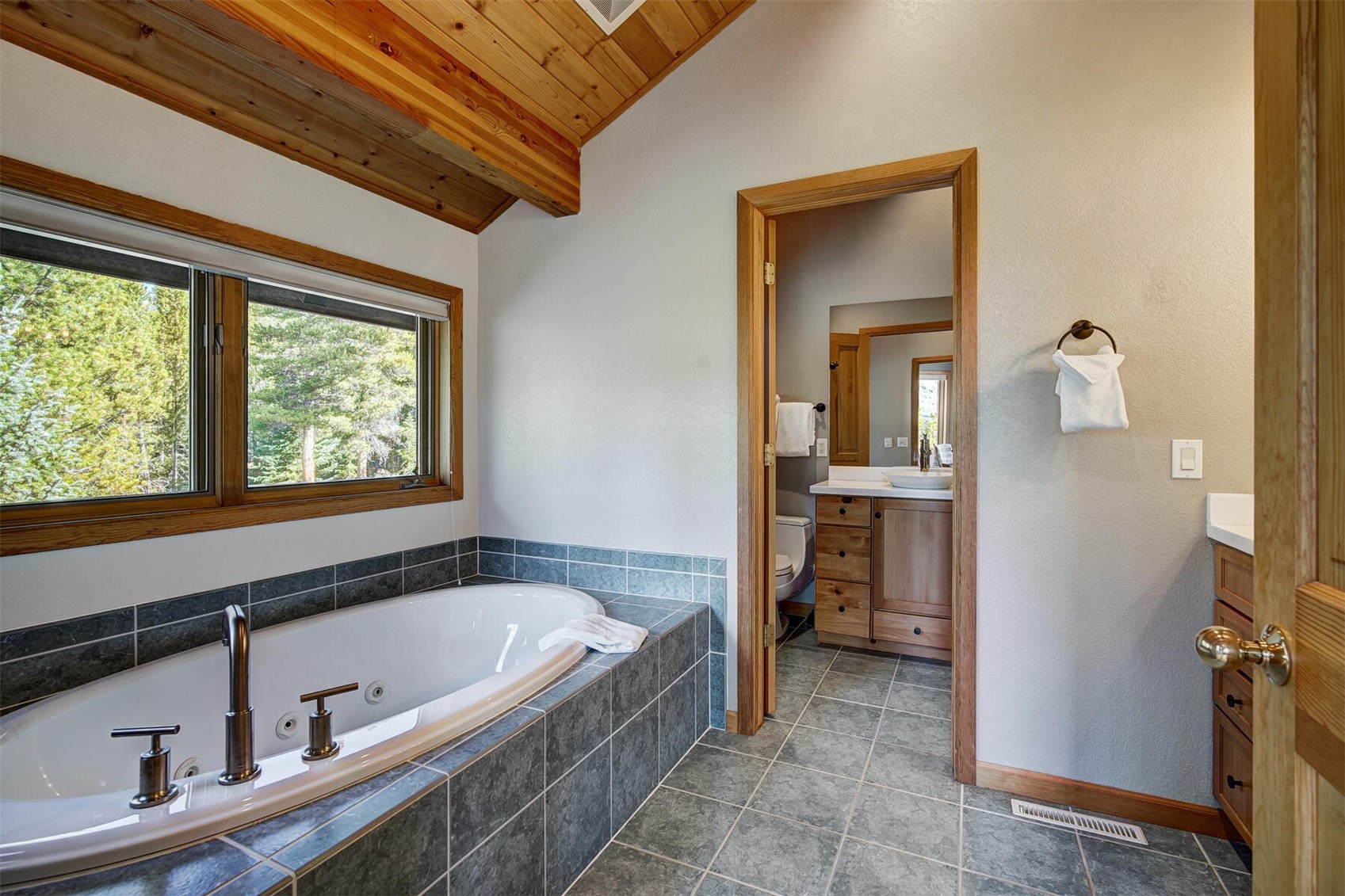 181 Red Fox Court Breckenridge CO 80424