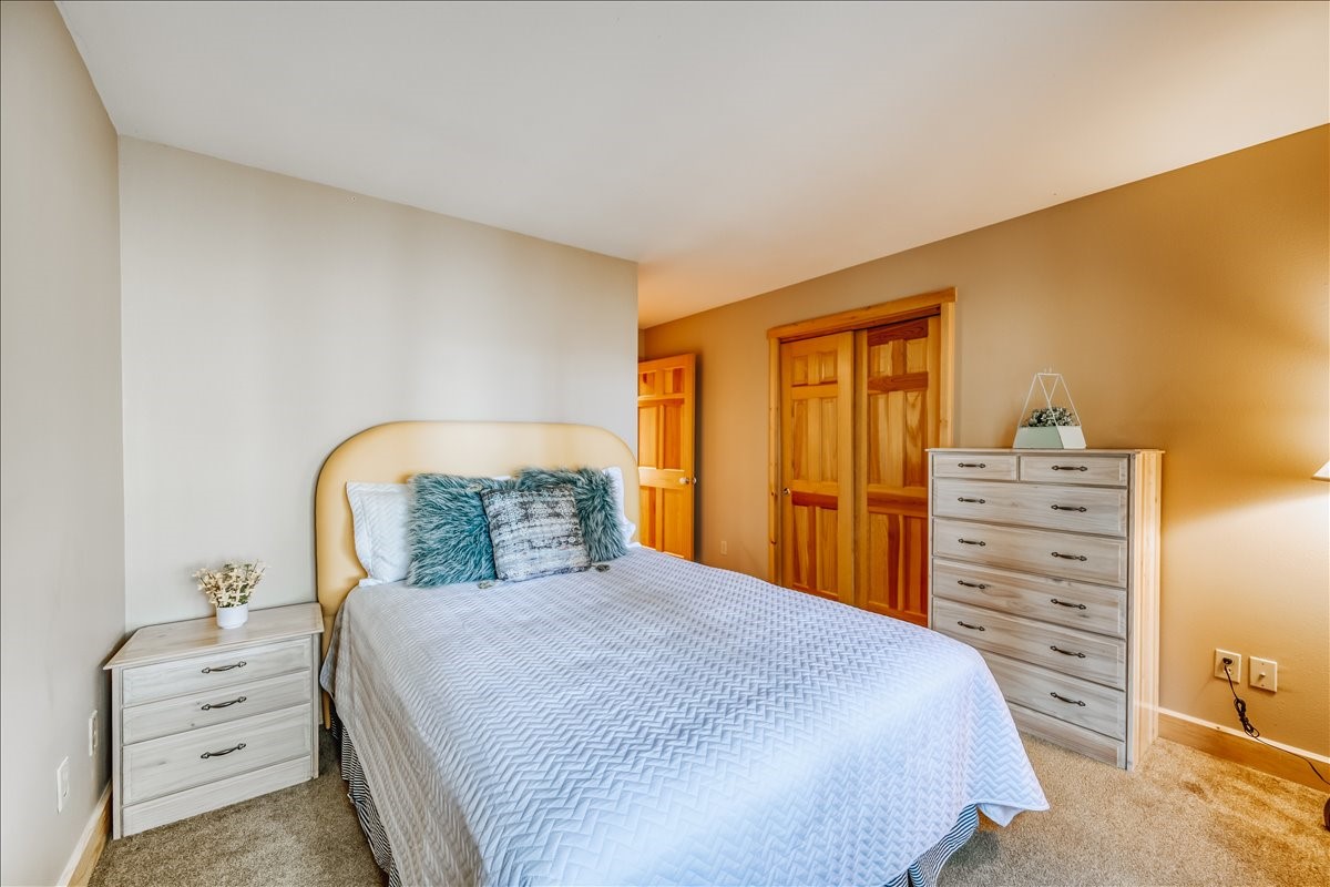 99 Primrose Lane Keystone CO 80435