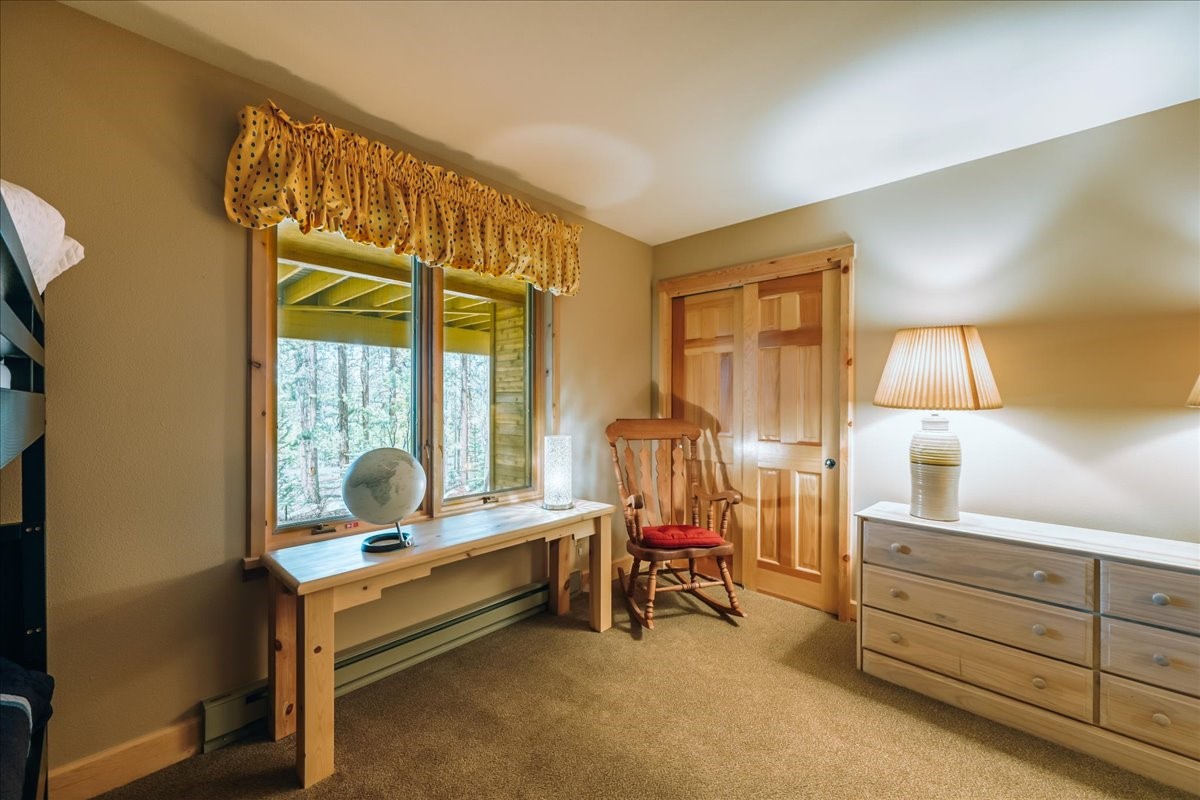 99 Primrose Lane Keystone CO 80435