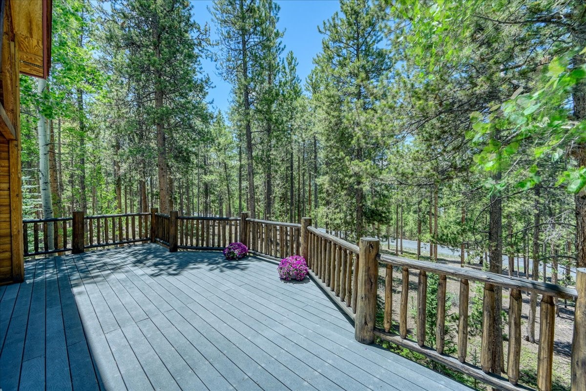 99 Primrose Lane Keystone CO 80435
