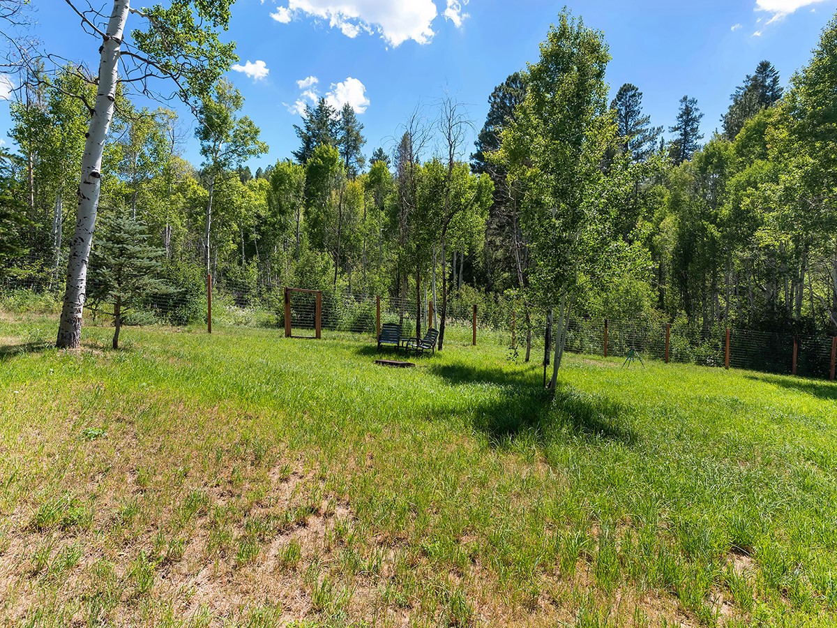 22610 Snowbird Trail Oak Creek CO 80467