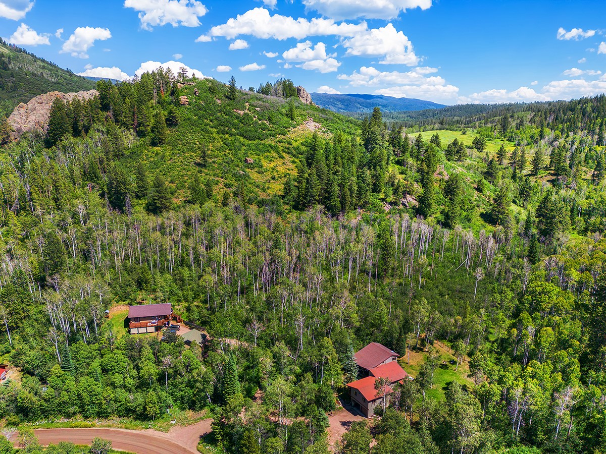 22610 Snowbird Trail Oak Creek CO 80467