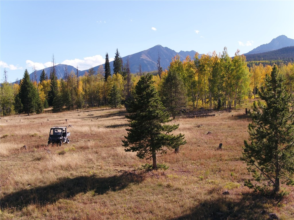 Tbd Whetstone Drive Silverthorne CO 80498