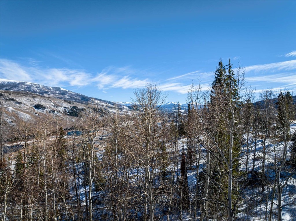 Tbd Whetstone Drive Silverthorne CO 80498