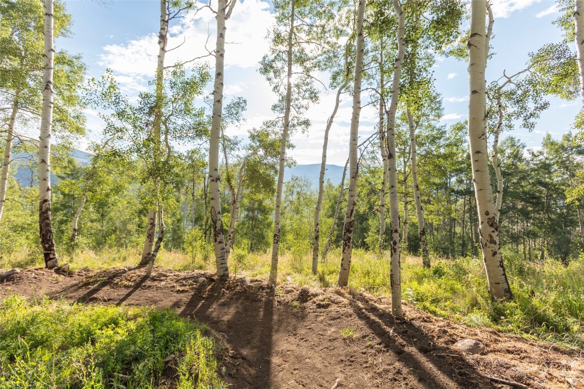 Tbd Whetstone Drive Silverthorne CO 80498