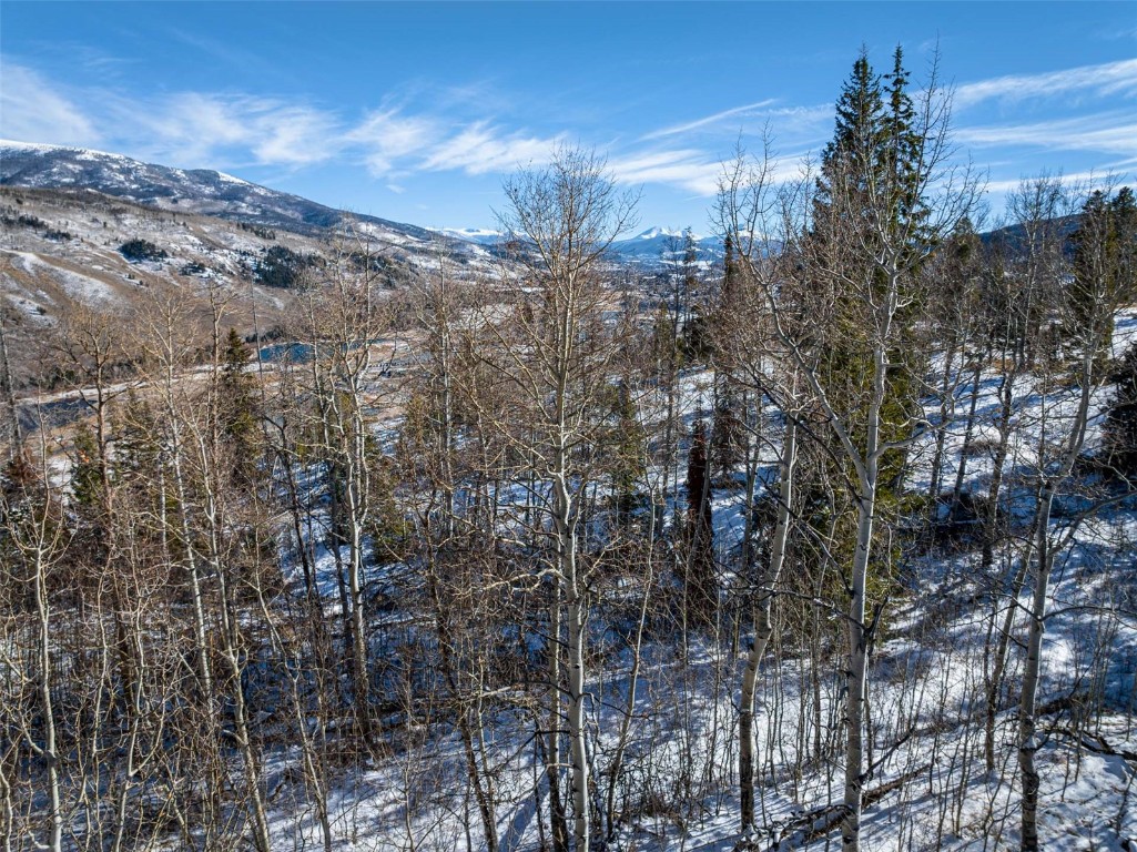Tbd Whetstone Drive Silverthorne CO 80498