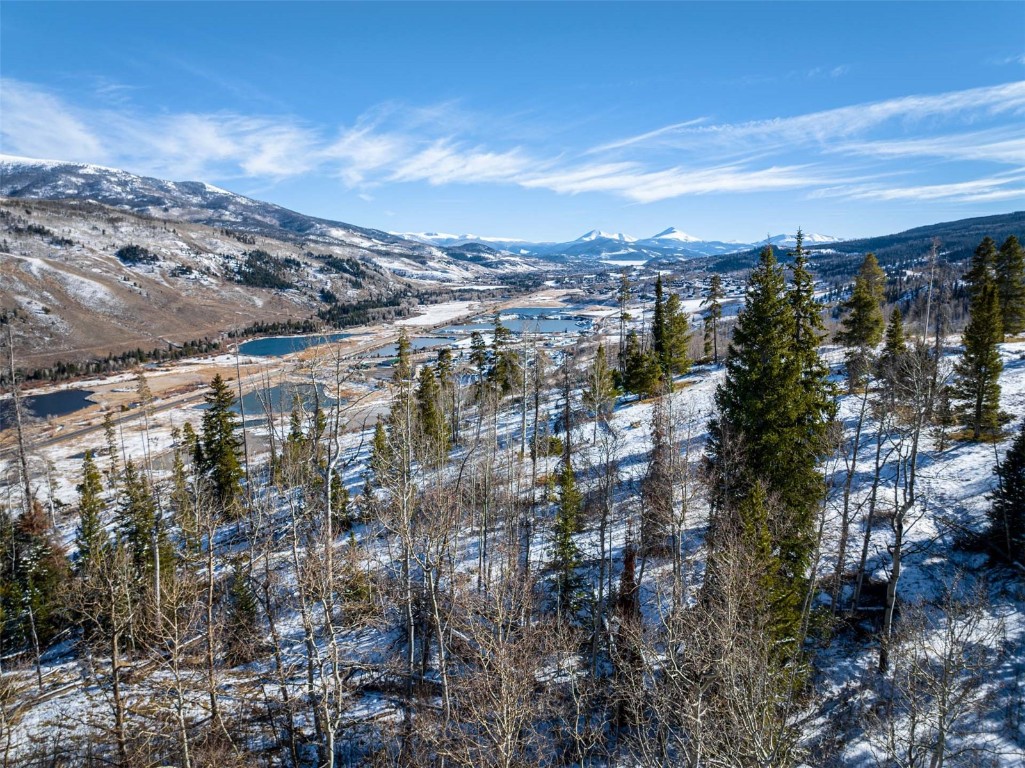 Tbd Whetstone Drive Silverthorne CO 80498
