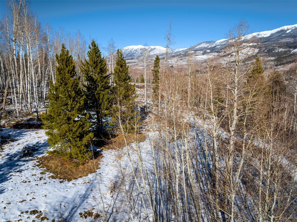Tbd Whetstone Drive Silverthorne CO 80498